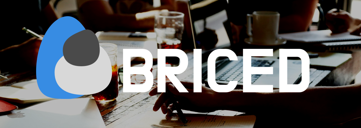 Briced vs HubSpot: Which CRM Is Right for a Small Sales Team?