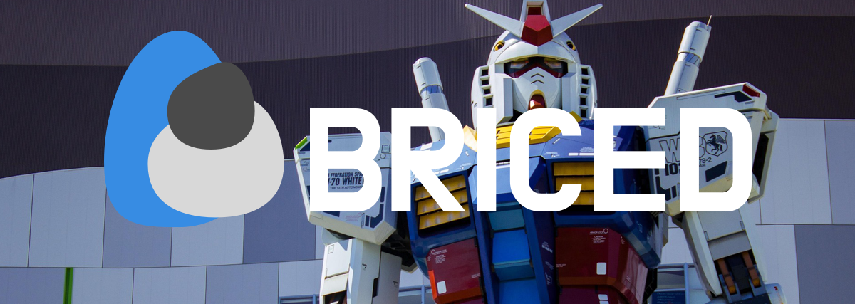 Briced vs Salesforce Starter: When You Don't Need the Giant