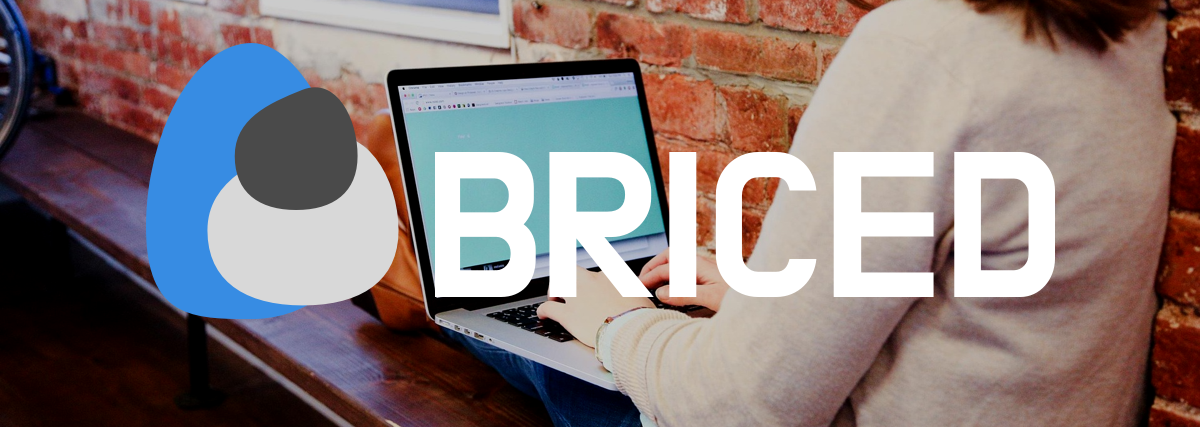 Briced vs Salesflare: Which Inbox-Based CRM Wins?